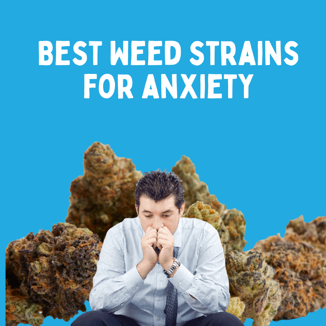 Try The 7 Best Weed Strains For Anxiety And ADHD