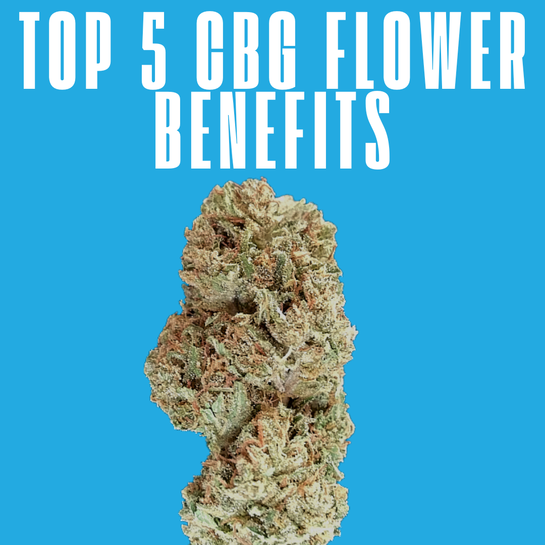 Top 5 CBG Flower Benefits | Dreamland Organics